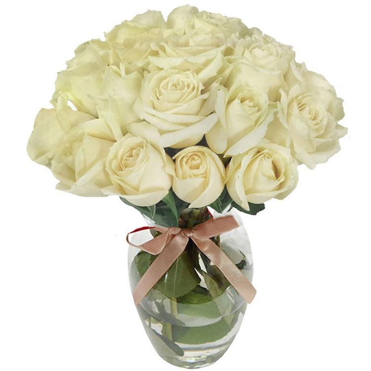 20 Rosas Brancas no Vaso