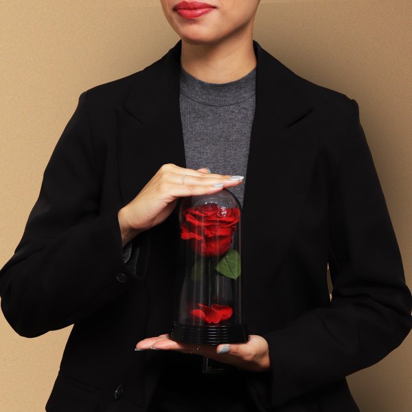 A Bela Rosa Encantada Vermelha