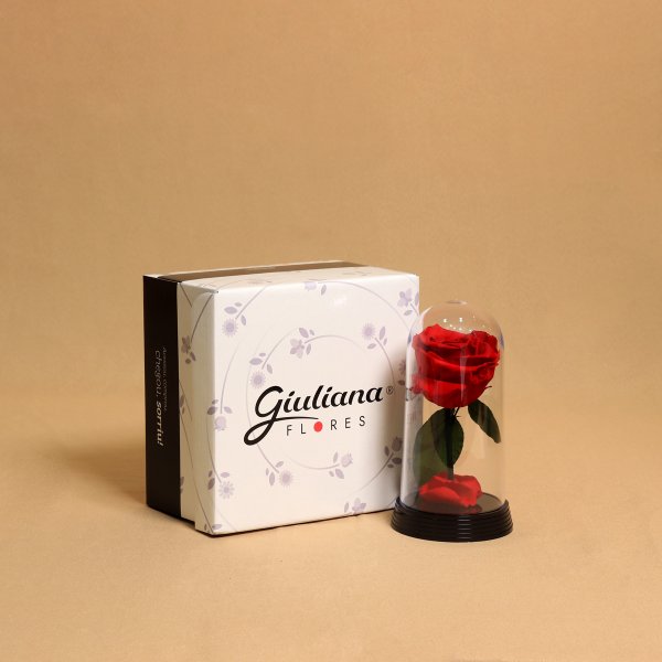 A Bela Rosa Encantada Vermelha