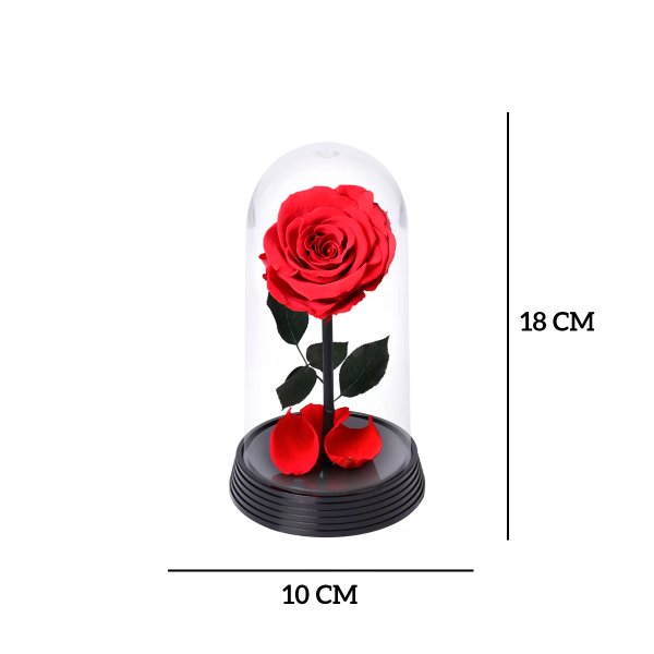 A Bela Rosa Encantada Vermelha