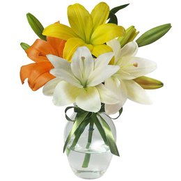 Imagem de Surpresa de Lírios Coloridos