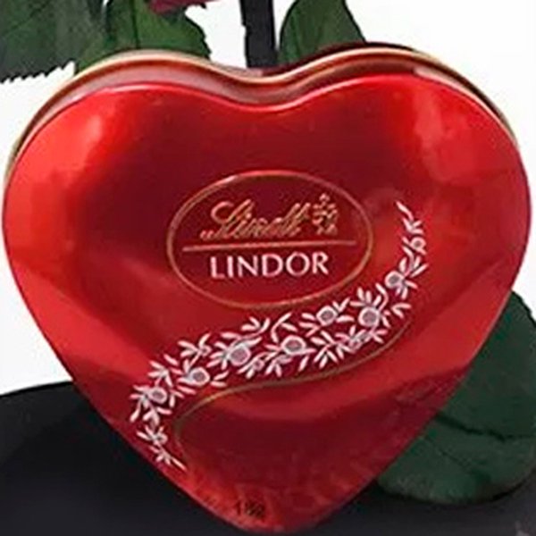 A Rosa Encantada Vermelha e Coração Lindt 50g