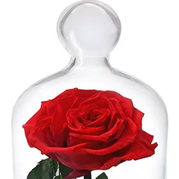 A Rosa Encantada Vermelha e Coração Lindt 50g