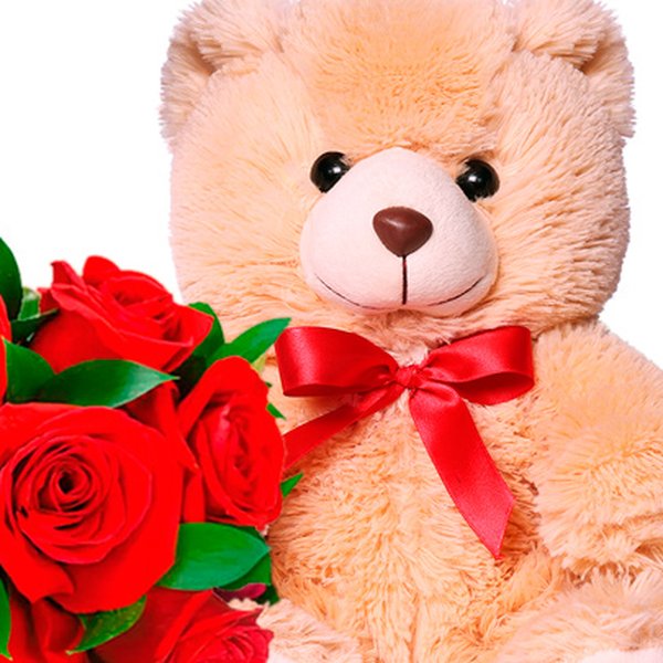 Buquê de 8 Rosas Vermelhas e Pelúcia