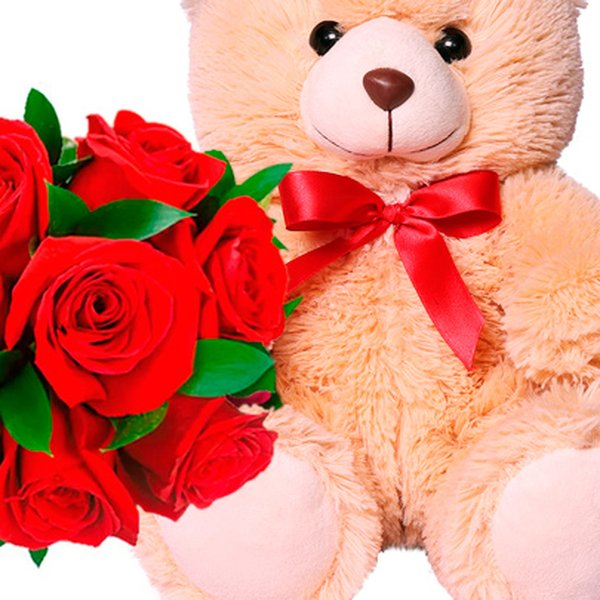 Buquê de 8 Rosas Vermelhas e Pelúcia