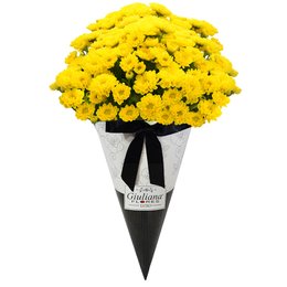 Imagem de Buquê Magnificas Margaridas Amarelas