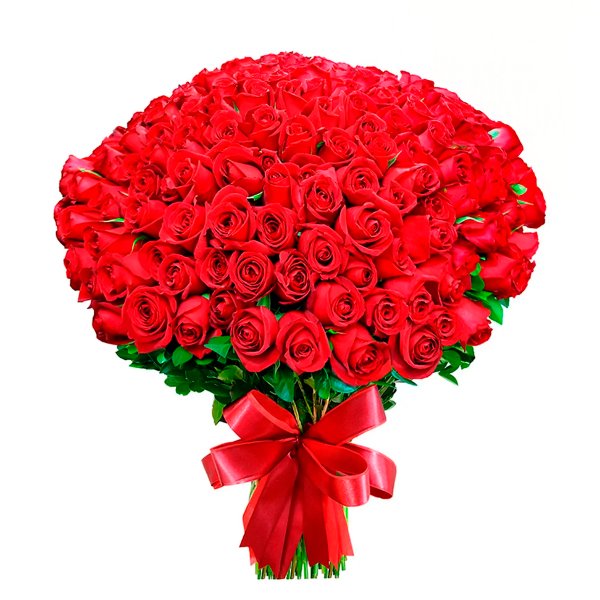 Mega Buquê de 200 Rosas Vermelhas