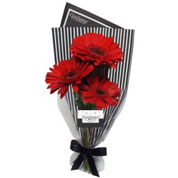 Imagem de Buquê Presente Gérberas Vermelhas