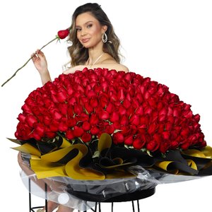 Imagem de Mega Buquê de 500 Rosas Vermelhas