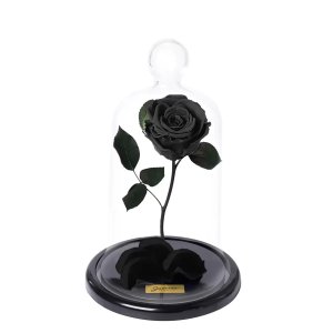 Imagem de A Rosa Encantada Preta