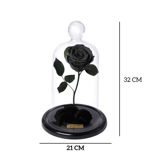 A Rosa Encantada Preta