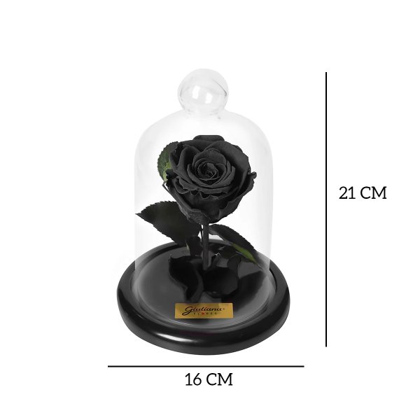 Mini Rosa Encantada Preta