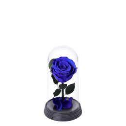 Imagem de A Bela Rosa Encantada Azul