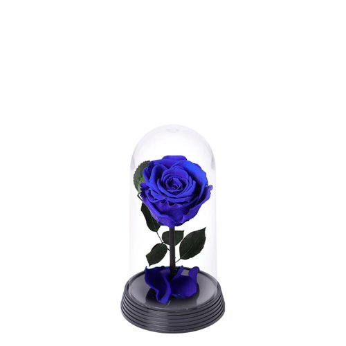 Découvrir 50 kuva rosa azul giuliana flores 