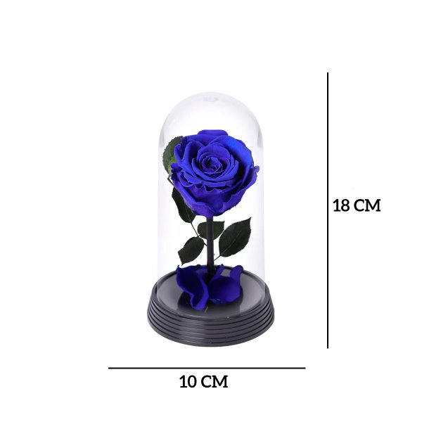 A Bela Rosa Encantada Azul