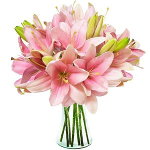 Imagem de Luxuosos Lírios Cor-de-Rosa