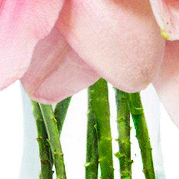 Luxuosos Lírios Cor-de-Rosa