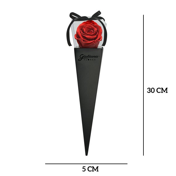 Cone Preto de Rosa Encantada Vermelha