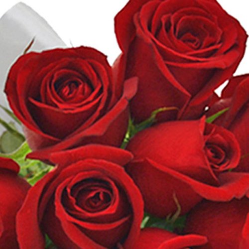 Buquê de 12 Rosas Vermelhas e Placa Love