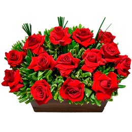 Imagem de Exuberante Arranjo de Rosas Vermelhas