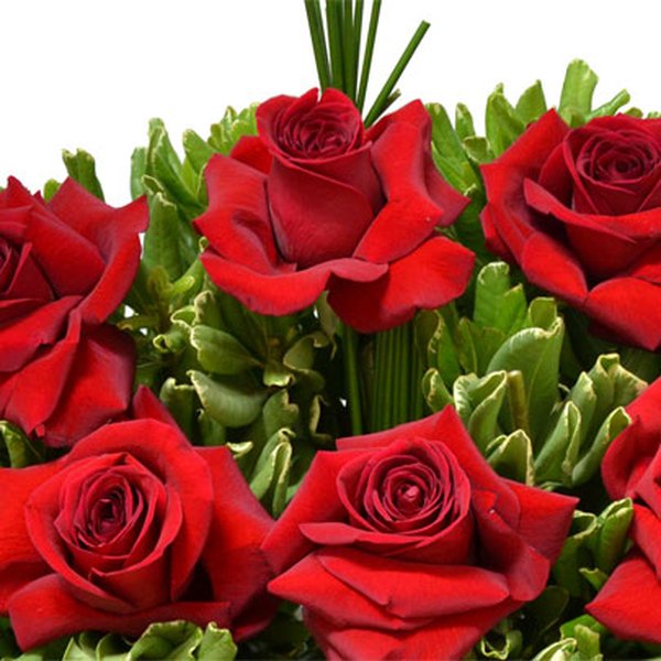 Exuberante Arranjo de Rosas Vermelhas