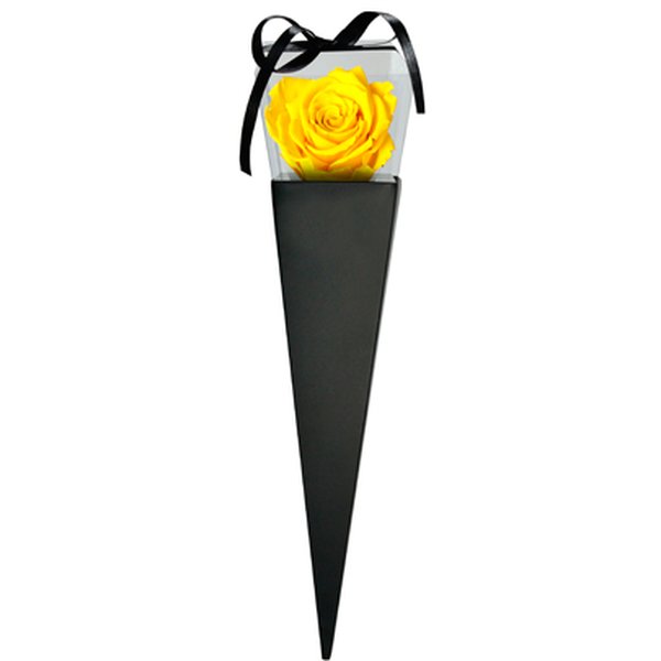Cone Preto de Rosa Encantada Amarela