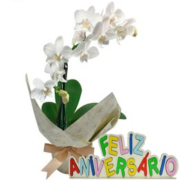 Imagem de Mini Orquídea Rara Branca Feliz Aniversário