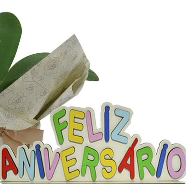 Mini Orquídea Rara Branca Feliz Aniversário
