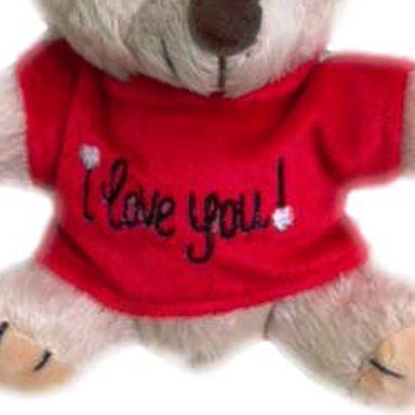 Urso Dodoí Mini