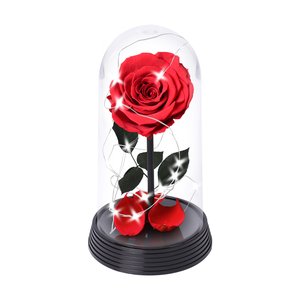 Imagem de A Bela Rosa Encantada Estrelada