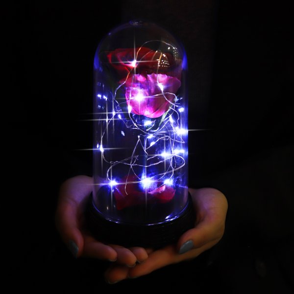 A Bela Rosa Encantada Estrelada