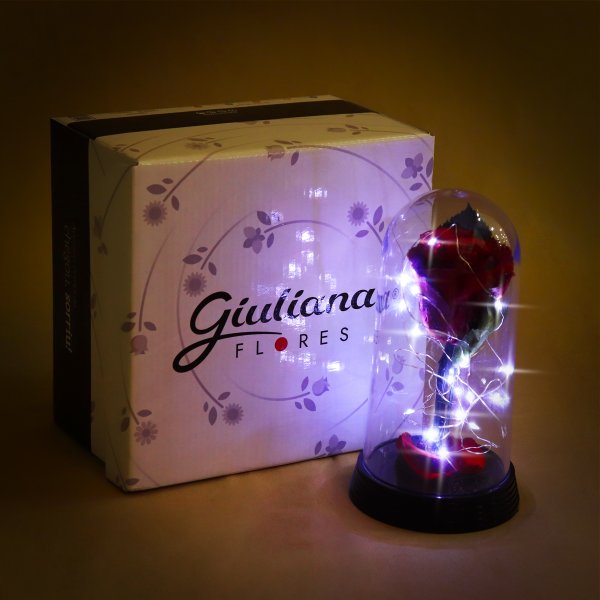 A Bela Rosa Encantada Estrelada