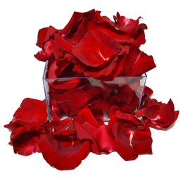 Imagem de Caixa de Pétalas Giuliana Flores