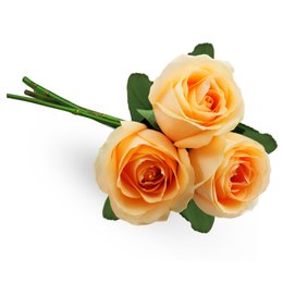 Imagem de Buquê de 3 Rosas Champanhe