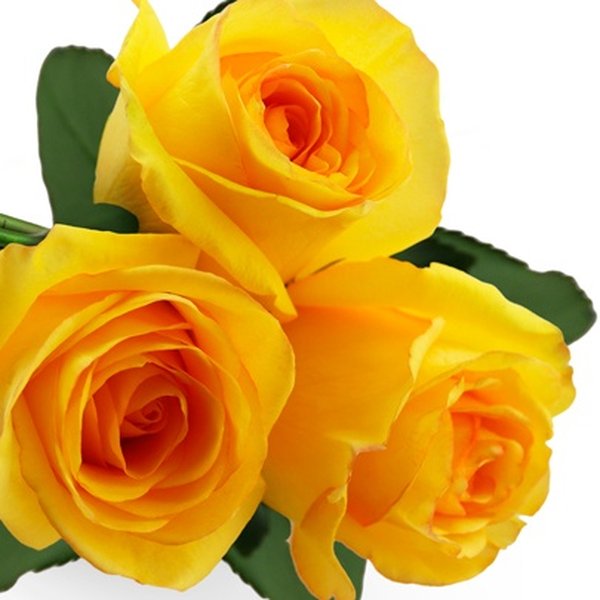 Buquê de 3 Rosas Amarelas
