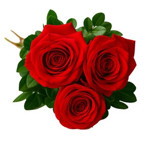 Imagem de Buquê de 3 Rosas Vermelhas