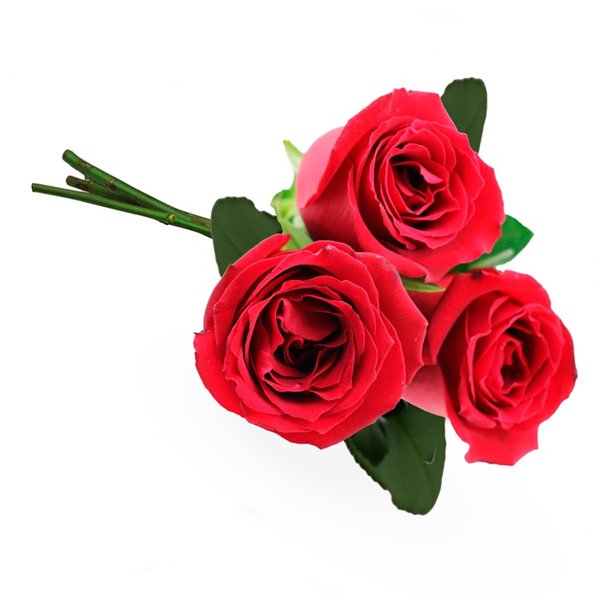 Buquê de 3 Rosas Vermelhas