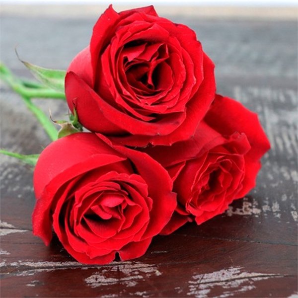Buquê de 3 Rosas Vermelhas