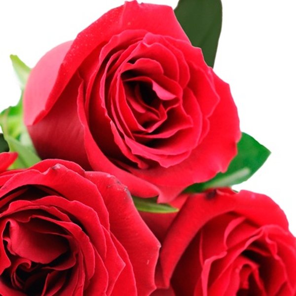 Buquê de 3 Rosas Vermelhas