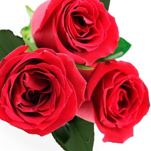 Buquê de 3 Rosas Vermelhas