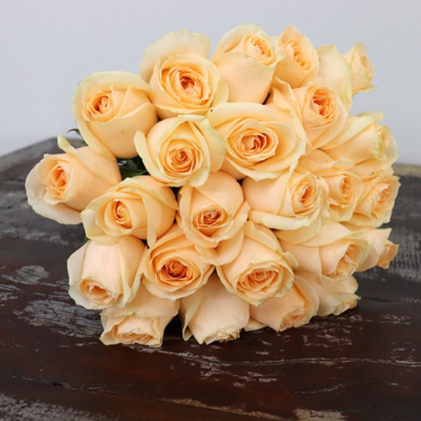 Buquê de 24 Rosas Champanhe