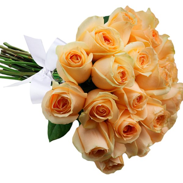 Buquê de 24 Rosas Champanhe