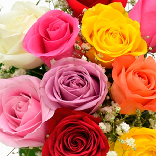 Elegância das Rosas Coloridas e Ferrero