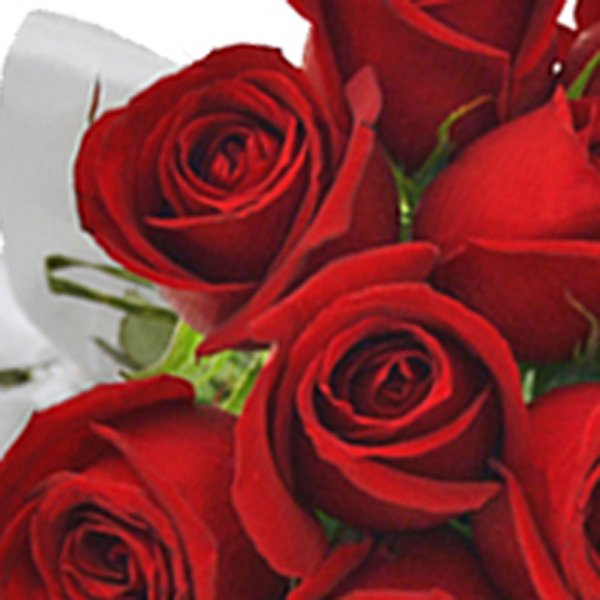 Buquê de 12 Rosas Vermelhas e Ferrero