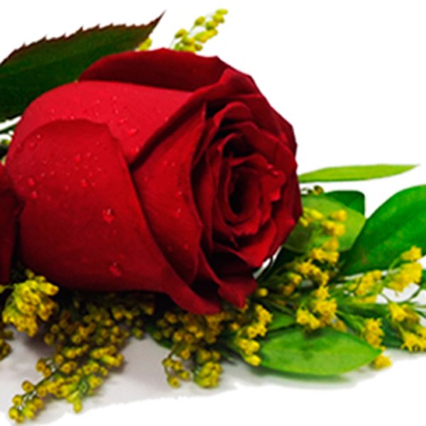 Buquê de 2 Rosas Vermelhas com Ferrero Rocher