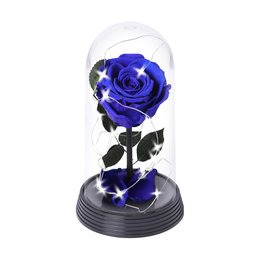 Imagem de A Bela Rosa Encantada Estrelada Azul