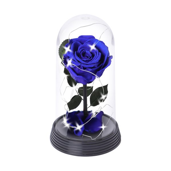 A Bela Rosa Encantada Estrelada Azul