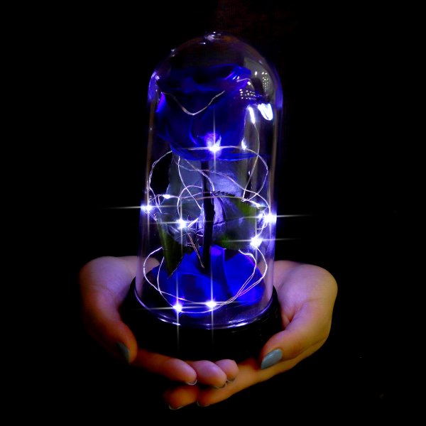 A Bela Rosa Encantada Estrelada Azul