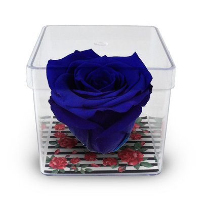 Rosa Encantada Azul Escuro no Acrílico