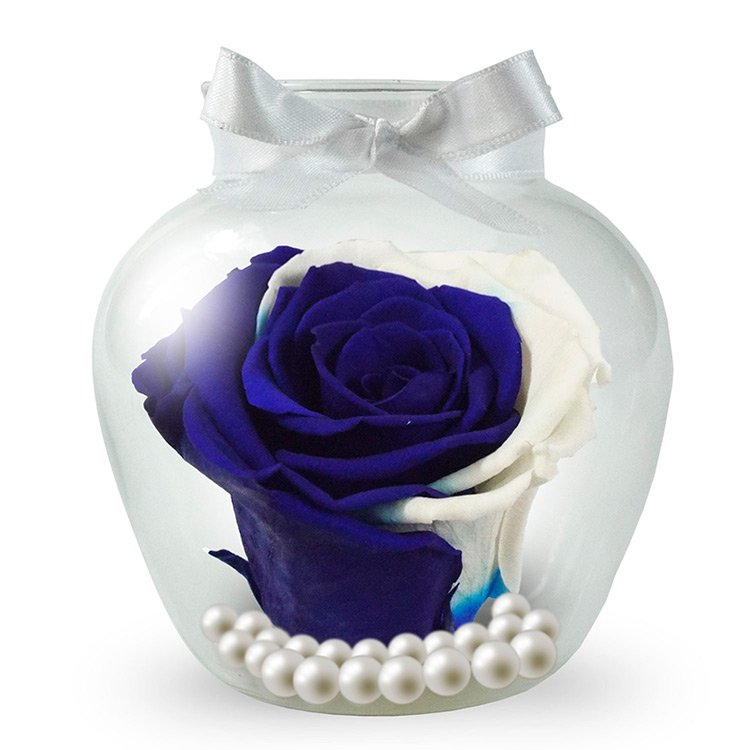 Rosa Encantada Blue Moon no Vaso